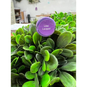 Lilac Lacquer Lipsense